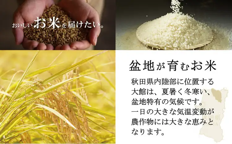 【定期便3ヶ月】秋田県産米「あきたこまち（無洗米）」 10kg（5kg×2袋）　300P9204【真正ファーム】
