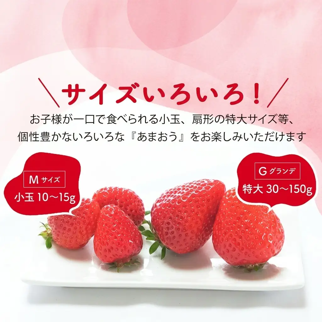 【訳あり】 いちご 2027年2月下旬より発送 あまおう サイズ色々 8パック 約2.28kg いちご