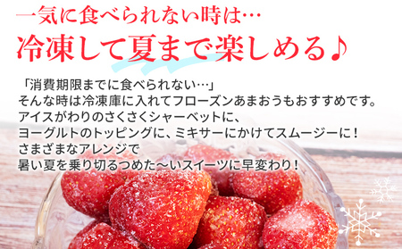いちご ジャム用あまおういちご 2kg 【2月後半～5月前半発送】BD07