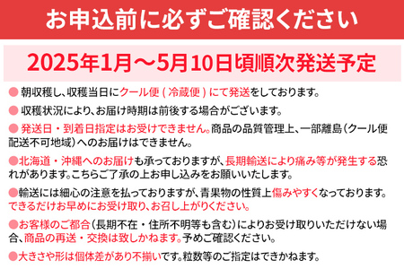 あまおう苺500gとコンフィチュール120g×3個のセット ※2025年1月～5月10日頃順次発送予定 BD13