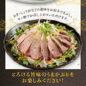 S137-011_【天草育ち】活じめ！うまかぶりたたき2節　約700g（切るだけ、手間いらず）