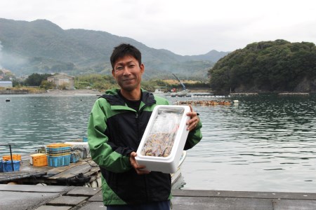 チャンバラ貝 10kg 貝