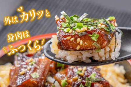 【静岡県吉田町加工】国産うなぎ うなぎ櫃まぶし詰合せ　あとはご飯にのせるだけ、だし汁・薬味付き