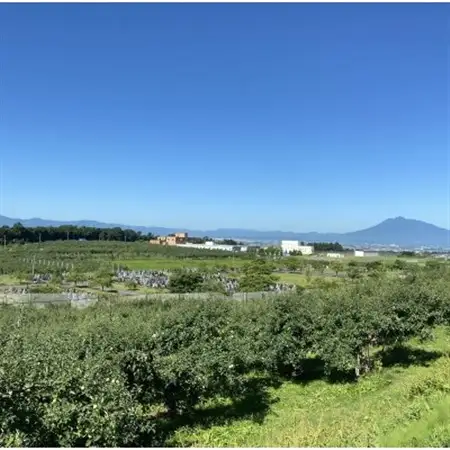 SevenApple木村農園から直送　樹上完熟さんふじ10kg_果物・フルーツ りんご  リンゴ 林檎_【1422346】