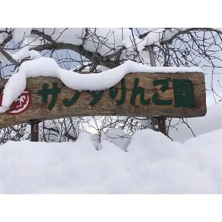 爽やかな甘さにサクッと食感　シナノスイート　贈答用　約3キロ　農家直送_果物・フルーツ りんご  リンゴ 林檎_【配送不可地域：離島】【1427253】