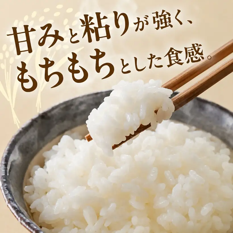 コシヒカリ玄米 10kg [ コシヒカリ ] / 002110A