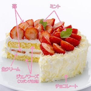 苺ケーキエクラン・ビジューホールいちご苺ケーキ【5号】