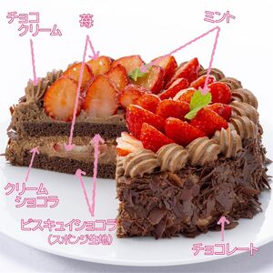 チョコレートケーキ エクラン・ビジュータルト チョコレートケーキ