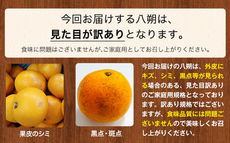 【訳あり/ご家庭用】八朔 4kg＋1kg  計約5kg サンファーム《2027年1月上旬-3月末頃より出荷予定》