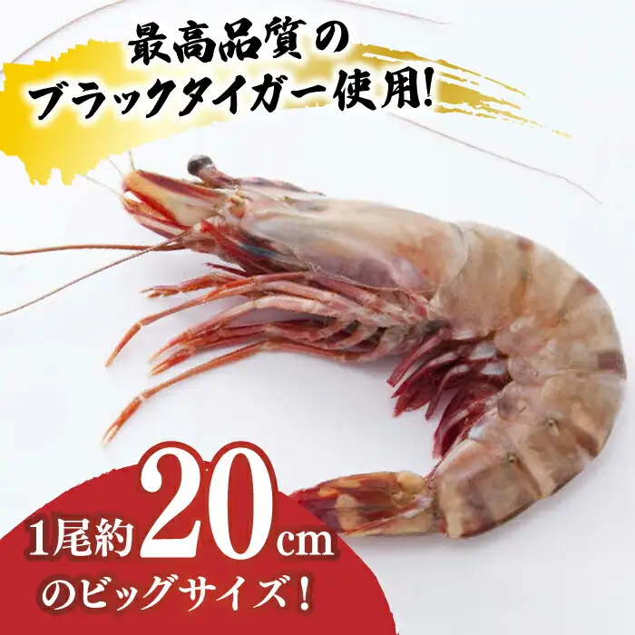 おどる！有頭えびフライ「えび姫」20尾（5尾×4P） 吉野ヶ里町/EBI研究所 エビ えび 海老 エビフライ 海老フライ えびフライ 有頭 [FDE016]