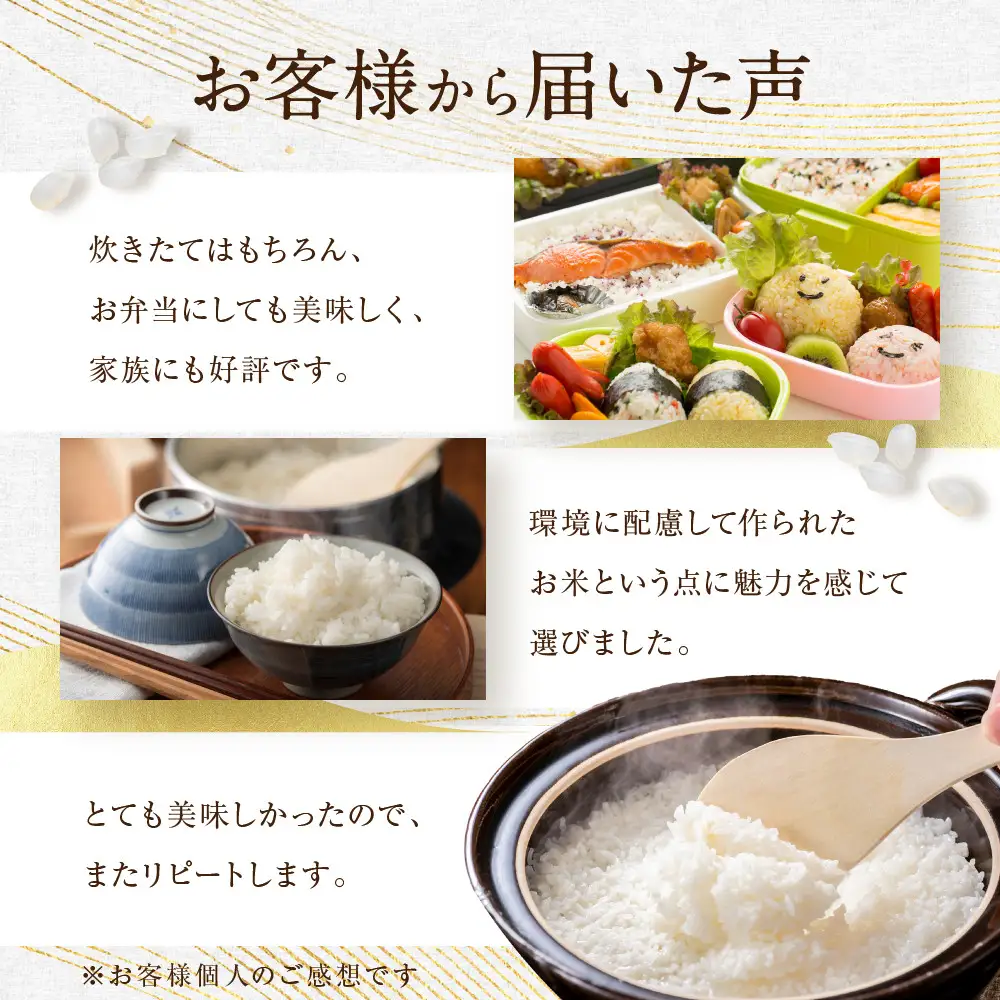 令和8年産 だて正夢 5kg×1袋｜8年産米 だて正夢 宮城県角田市産 米 コメ 白米 精米 角田健土農場