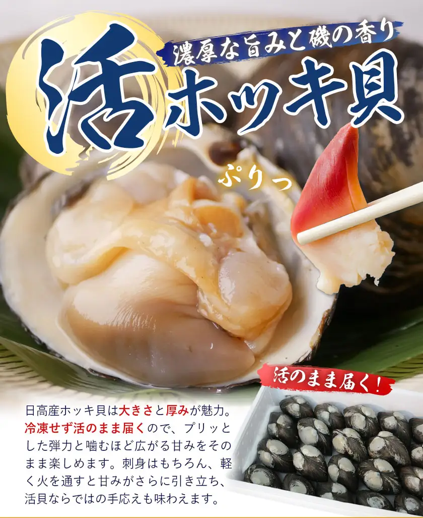 日高産 活ホッキ貝 20個 ひだか漁業協同組合《12月中旬から出荷予定》魚介類 貝 ホッキ貝 活ホッキ貝 ほっき ほっき貝 魚貝 海の幸 海産物 北海道 日高町