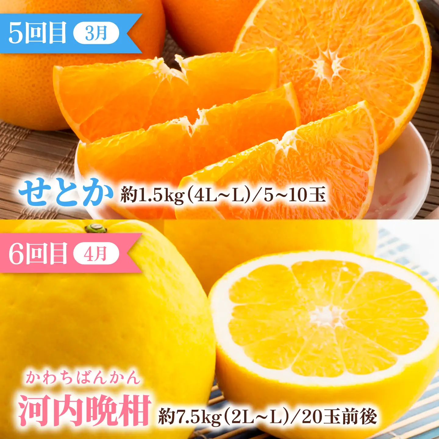 【全6回定期便】みかんえひめの柑橘セレクト定期便 / フルーツ 果物 蜜柑 ミカン オレンジ 小玉 甘い 愛媛 定期便 / 愛媛県砥部町/一般社団法人愛媛県観光物産協会[BJCE001]