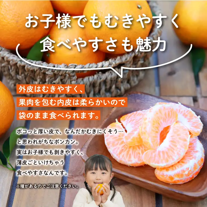 《 先行予約 》 種子島産ポンカン約5kg （24玉～30玉）【2026年12月中旬頃～1月中旬頃順次発送 】【南種子町果樹部会】