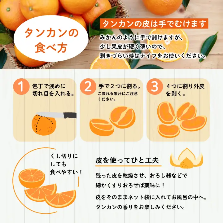 《 先行予約 》種子島産タンカン約2.5kg（12～18玉） 【2027年2月中旬～3月中旬頃順次発送】【南種子町果樹部会】