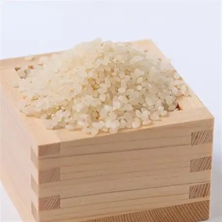 令和8年産　特別栽培米キヌヒカリ 5kg【1431743】