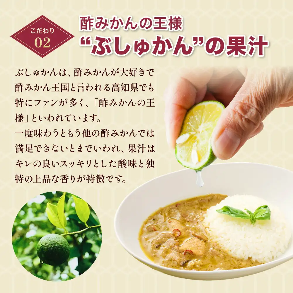 土佐はちきん地鶏 グリーンカレー 3箱 180g チキンカレー おすすめ curry かれー かれーらいす 惣菜 おかず 夕食 詰め合わせ セット レトルトカレー レトルト食品 ご当地グルメ 国産 地域限定 カレー 人気 カレー 辛口 カレーセット 高知県 室戸市