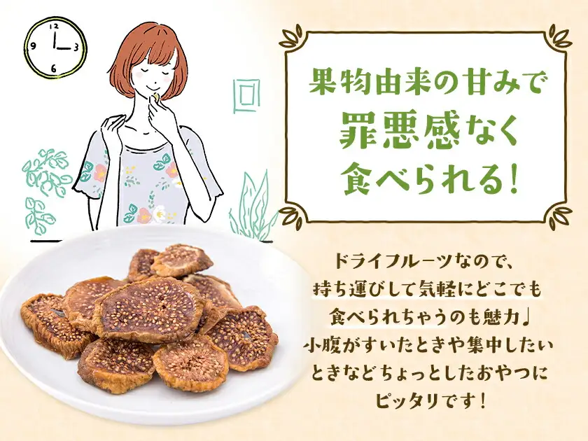 ドライ いちじく フレッシュドライ ドライフルーツ いちじく 200g (100g×2パック) ミナクルファーム《9月上旬-11月下旬頃出荷》 熊本県 苓北町 送料無料 南蛮柿 果実 果物 健康食材 熊本 天草 苓北 南国