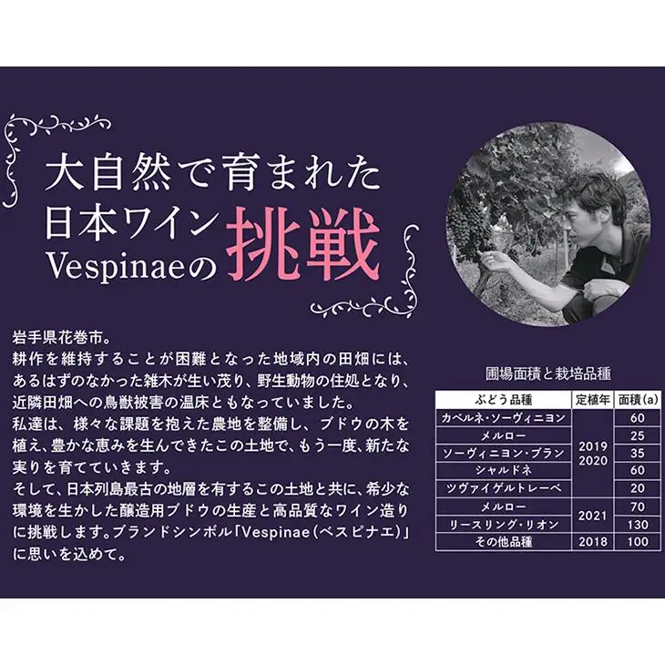 Vespinae（ベスピナエ） シャルドネ  750ml×1本 【1699】