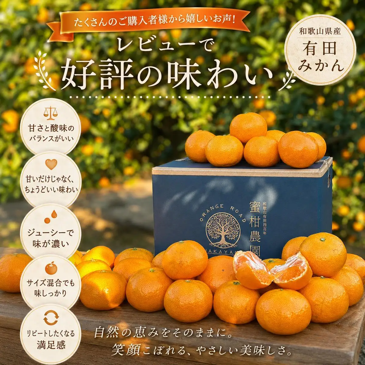 「はじめまして 有田みかん（和歌山県湯浅町産）」 お試し 約3kg ／ORYY推奨商品_DA6101n