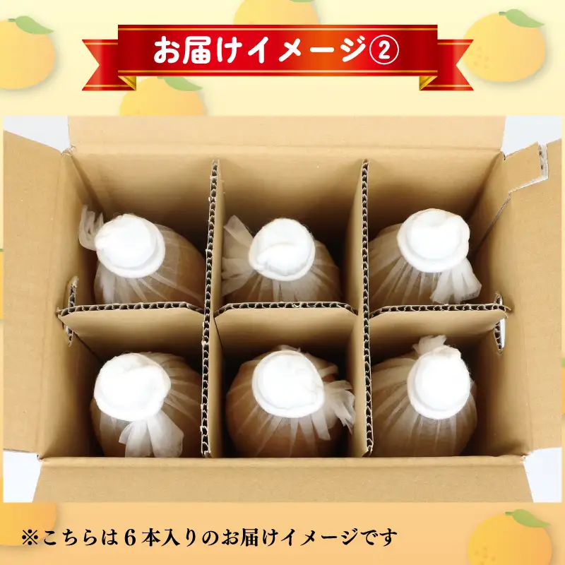 みかん ジュース 1,000ml×6本 清家 ジュース H028-170002