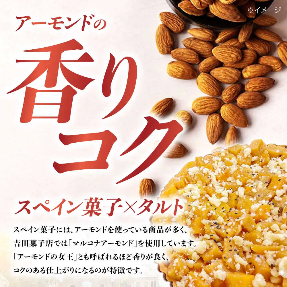【定期便12回】焼きこみタルト 吉田菓子店 [SCT033] タルト