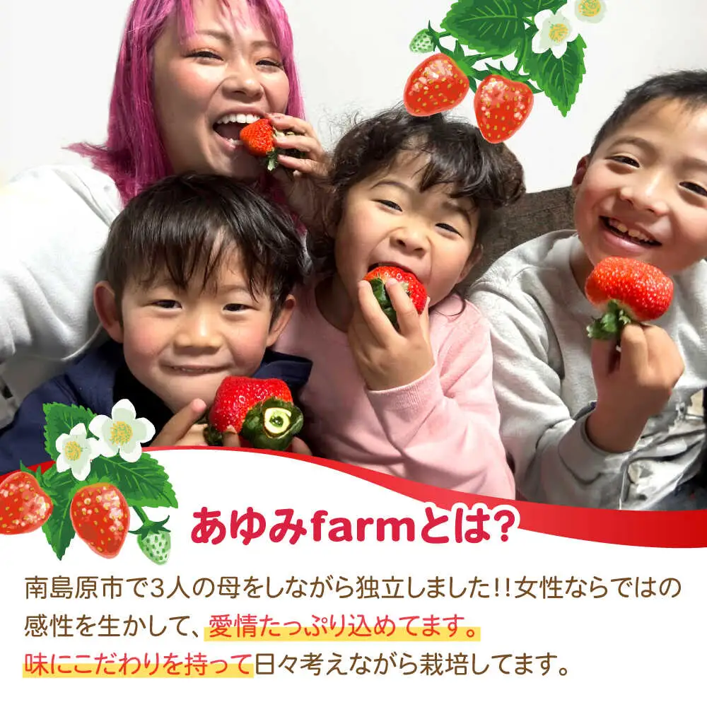 【2027年1月-発送】 250g×4P 恋みのりいちご [SFF001] いちご