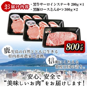 b0－００８　黒牛ｻｰﾛｲﾝｽﾃｰｷ＆黒豚ロースとんかつセット（800ｇ）