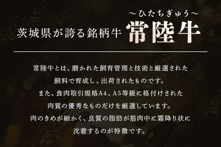 [日本橋 日山] 茨城県産 常陸牛サーロインステーキ1.6kg (200g×8) 茨城県共通返礼品 [0651]