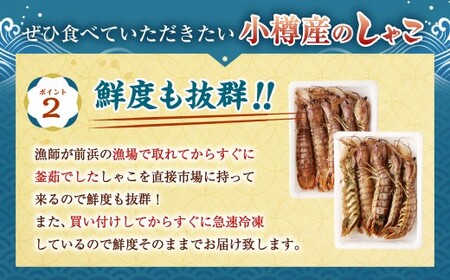 ボイル しゃこ オス・メス 合計10尾 （各5尾）