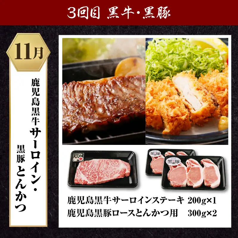 鹿児島 黒牛 ・ 黒豚 定期便 （ 全3回 ） K127-T02 肉 豚肉 牛肉 冷凍