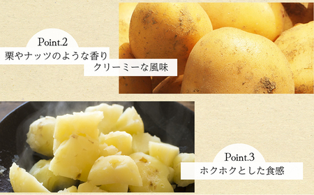 BH048 じゃがいも 希少品種 ながさき黄金 S?2Lサイズ混合 約5kg