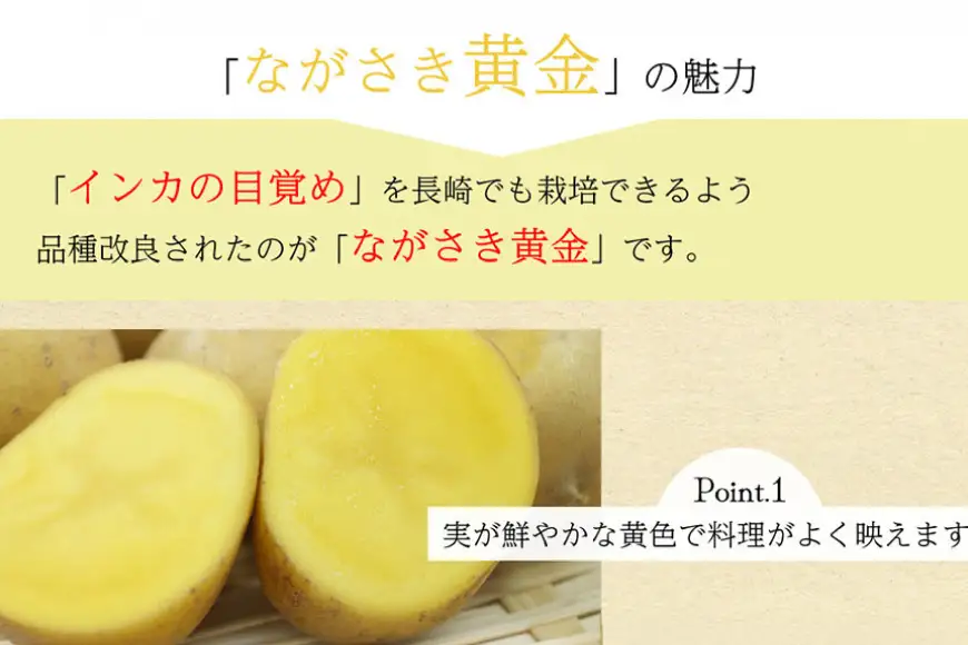 BH050 じゃがいも 訳あり ながさき黄金 出島 約5kg