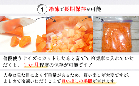 BH052 人参 訳あり 堀農園のこだわり人参 約10kg