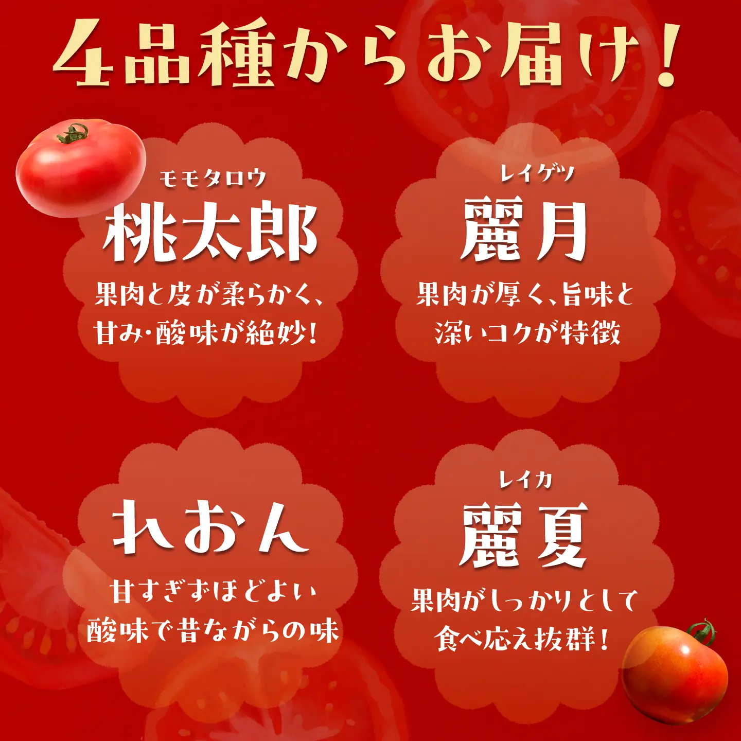 【先行予約】訳あり大玉トマト 4kg / 恵那市 / クリエイティブファーマーズ [AUAH016]