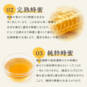 初夏の花香る生駒の百花蜜 初夏の花香る 生駒市産 100％ 蜂蜜 500g 濃厚 百花蜜 調味料 非加熱 完熟蜂蜜 国産 純粋はちみつ ヨーグルトトッピング のどのケア 最適 逆止弁ボトル 贈り物 お取り寄せ 三原養蜂場 防災 備蓄 奈良県 生駒市 送料無料