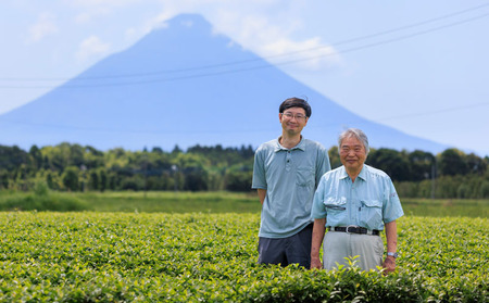 A1-22489／財宝のおいしい お茶 500ml×24本×2箱
