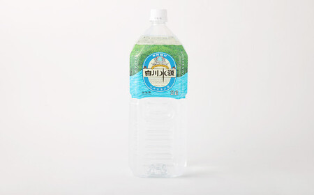 【6か月連続定期便】日本名水百選ミネラルウォーター「南阿蘇・白川水源」2L×6本入り2ケース×6か月
