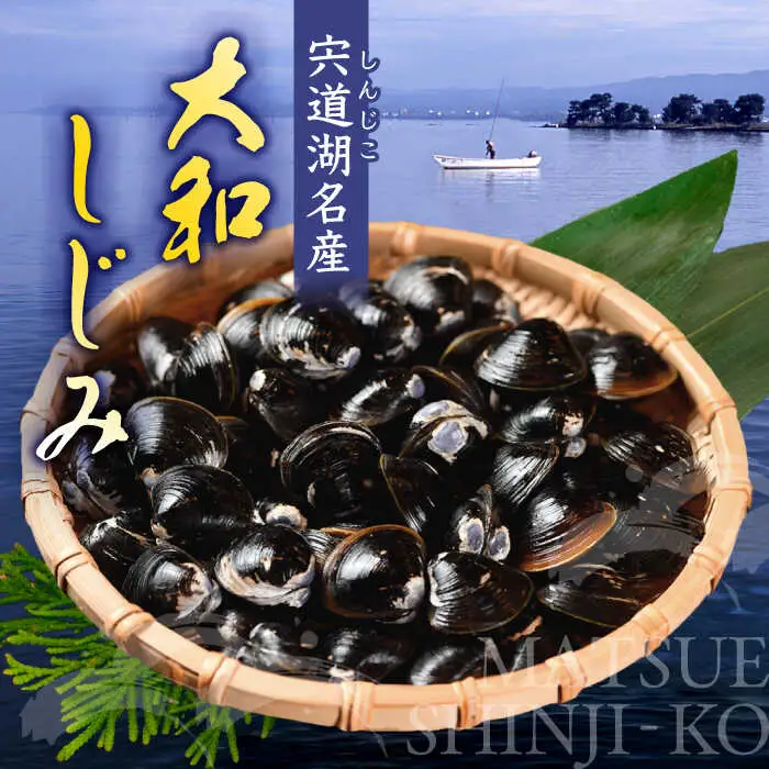 しじみ 食べる分だけさっと使える！宍道湖産 冷凍大和しじみ (L)500g×8袋 島根県松江市/平野缶詰有限会社[ALBZ001] しじみ しじみ