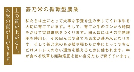 【精米】令和7年産 甚乃米 ひとめぼれ 10kg 白米 精米 AC023