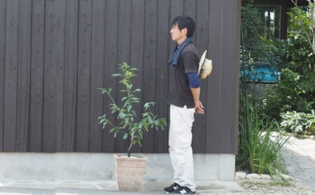 植物 レモン 鉢植え 大きめ サイズ レモンの木 アンティーク テラコッタ 鉢 直径31cm 配送不可 北海道 沖縄 離島 インテリア グリーンアイテム グリーンインテリア 玄関 庭 ガーデン ガーデニング 果樹 柑橘 