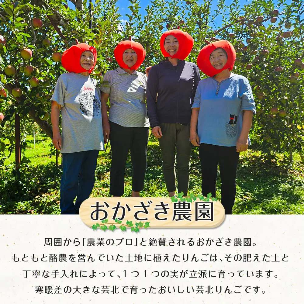 ≪10月中旬以降発送≫りんご 国産 3kg 農家直送 おかざき農園 芸北りんご 林檎 秋映 陽光 ぐんま名月 あいかの香り ふじ_OK097_001