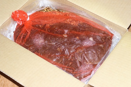 【訳あり：期間限定】天然活きモクズガニ 【小サイズ】 約1.5kg （15匹～22匹 オス・メス混合） ネットに入れてお届け 下処理不要 調理レシピ付き 　1049002