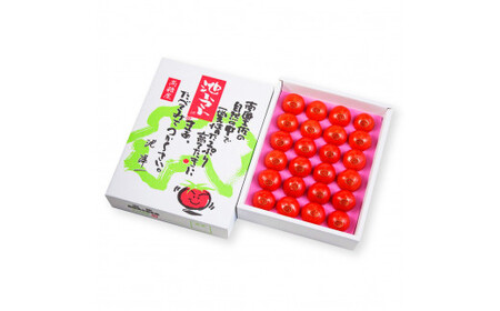 【先行予約】フルーツトマト特選ギフト約1kg ＜2027年1月?発送＞ /  特Aランク トマト フルーツトマト 池トマト 糖度10度以上 高糖度 高知県産 ギフト 箱入り 贈答用 贈り物 健康【池トマト】[BQAG026]