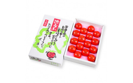 【先行予約】フルーツトマト特選ギフト 約800g ＜2027年1月?発送＞ / 特Aランク トマト フルーツトマト 池トマト 糖度10度以上 高糖度 高知県産 ギフト 箱入り 贈答用 贈り物 健康【池トマト】[BQAG024]