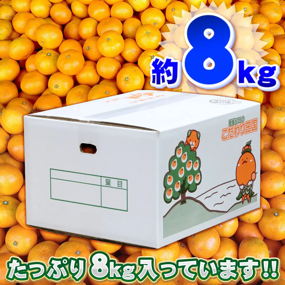小玉みかん 訳あり 小玉 みかん 8kg 中井屋 【 訳あり みかん 】 B010-173002