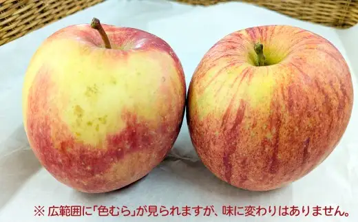 【先行予約】数量限定・期間限定 R8年産【陽気な母さんの店】訳ありりんご「ふじ」（5kg）　50P009001【陽気な母さんの店 】