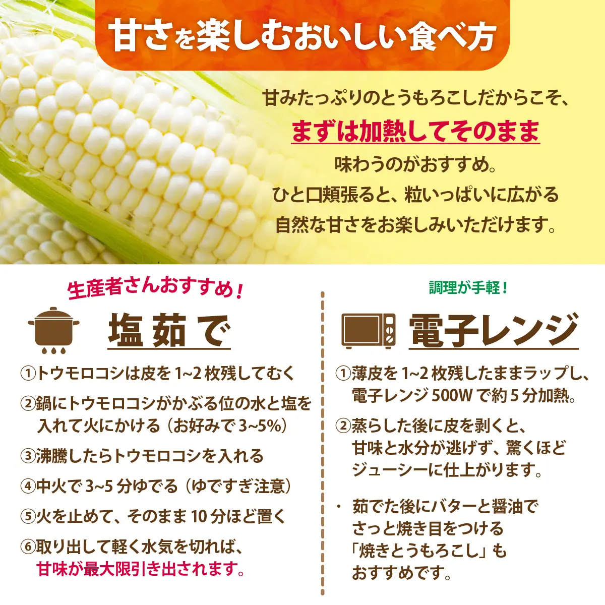 ＜2026年8月下旬よりお届け＞【朝採り】北海道壮瞥産 白いとうもろこし「雪の妖精」Lサイズ12本(約4kg) SBTQ001