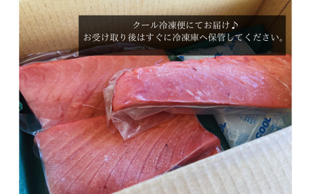《 訳あり 》 メバチマグロ × キハダマグロ 短冊セット　約800g　 ★ カネアリ水産 ★ 