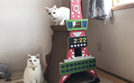 猫の爪とぎ　S型　にゃんずタワー 猫 ねこ ネコ キャット cat 爪とぎ ダンボール 段ボール タワー クラフト 写真映え 丈夫 日本製 国産 室内遊び おもちゃ ペット インテリア 愛猫 動物 猫用品 猫用玩具 グッズ 愛猫へプレゼント ペット用品 愛知県 常滑市